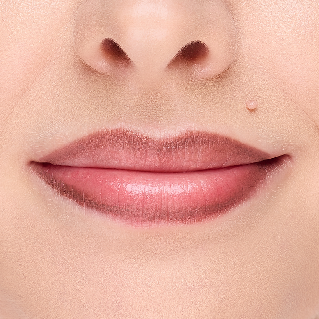 203 - Lipliner Chocolate