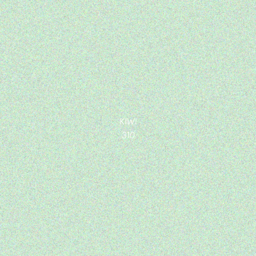 COSLNE Eyeshadow Kiwi 310