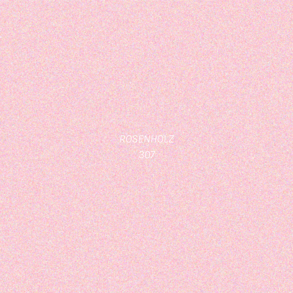 COSLINE Eyeshadow Rosenholz 307