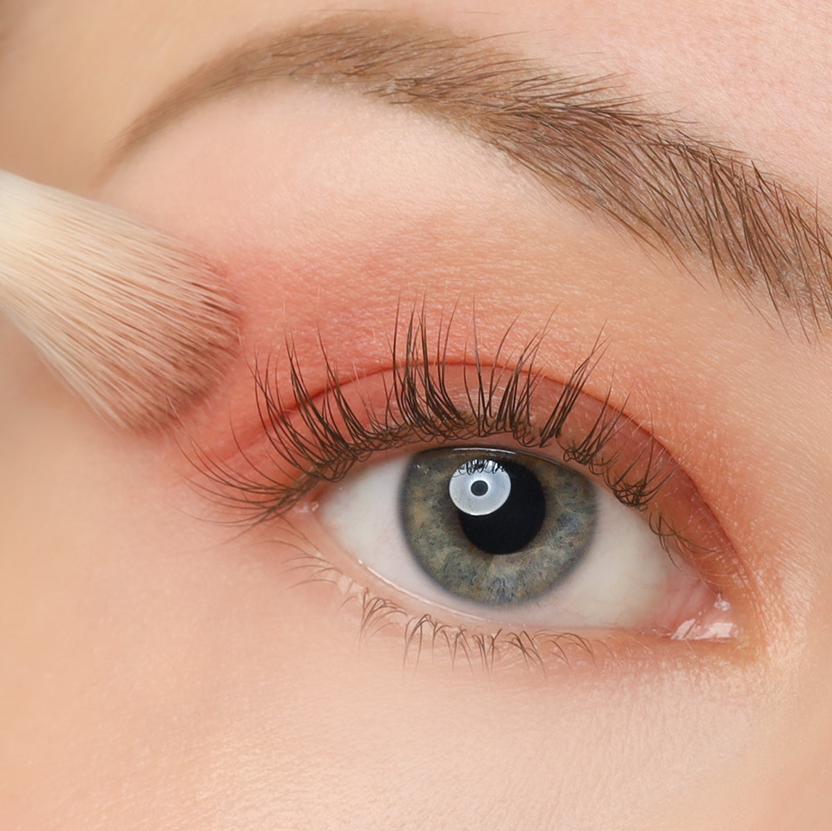 COSLINE Blog Rouge als Lidschatten Augenbild 703 803