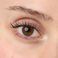 COSLINE Eyeshadow Champagner 305 Grünes Auge