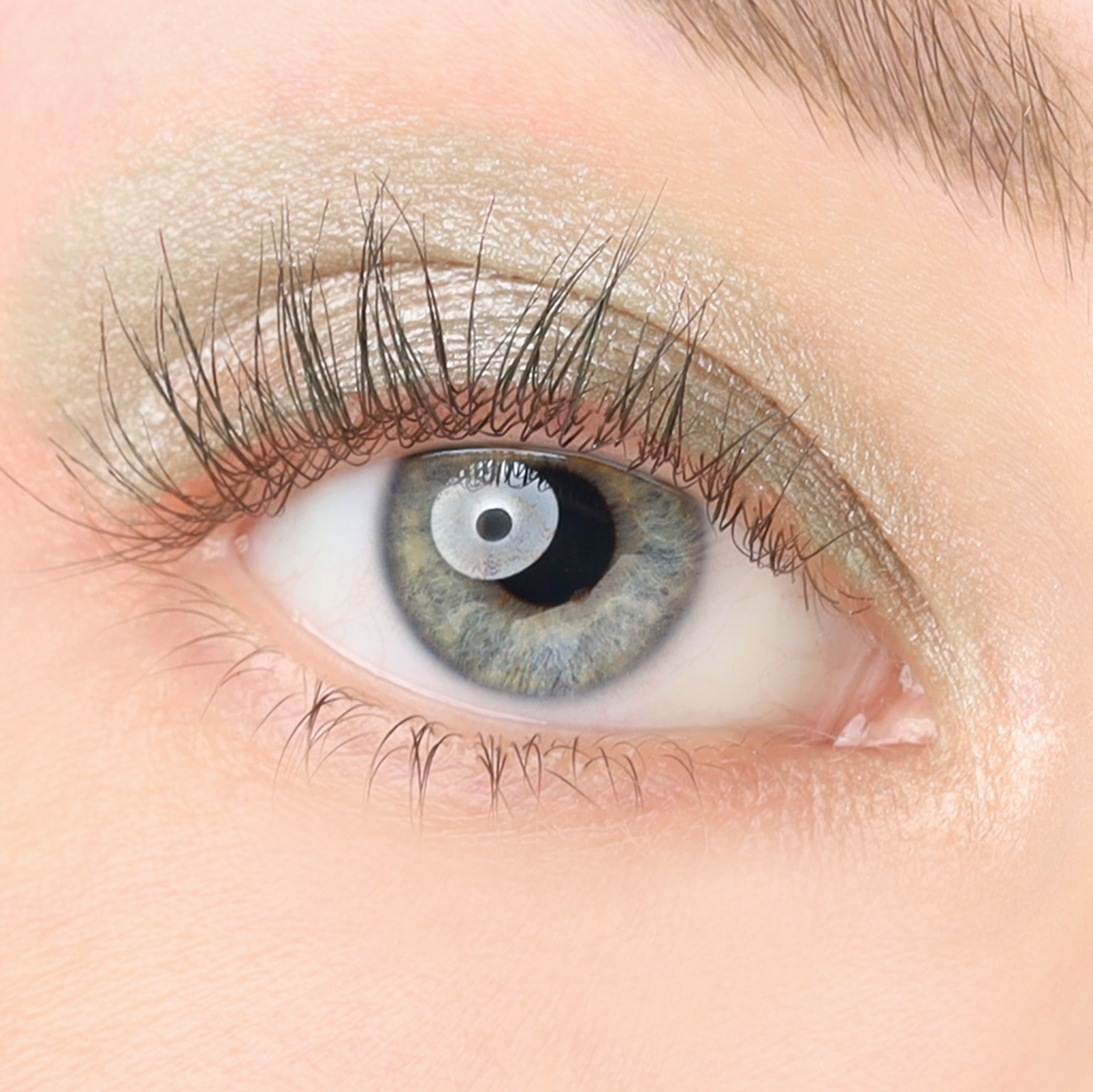 COSLINE Eyeshadow Kiwi 310 Blaues Auge