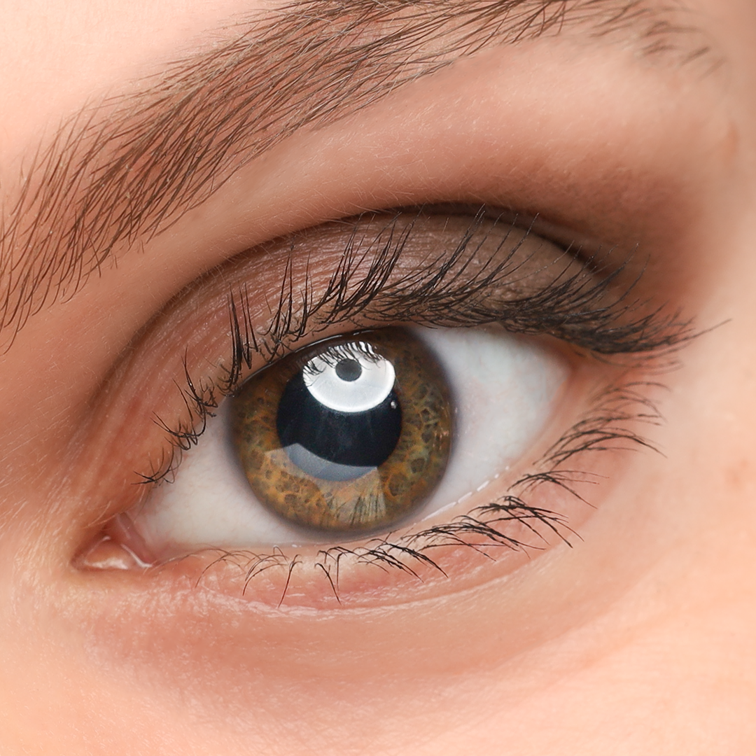 COSLINE Eyeshadow Muskat 304 grünes Auge