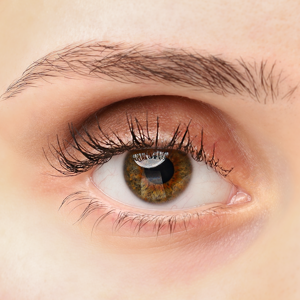 COSLINE Eyeshadow Muskat 304 Grünes Auge