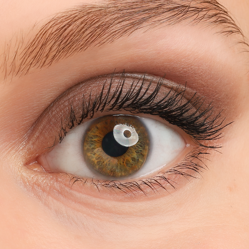 COSLINE Eyeshadow Muskat 304 braunes Auge