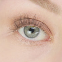 COSLINE Eyeshadow Taupe 311 Nahaufnahme