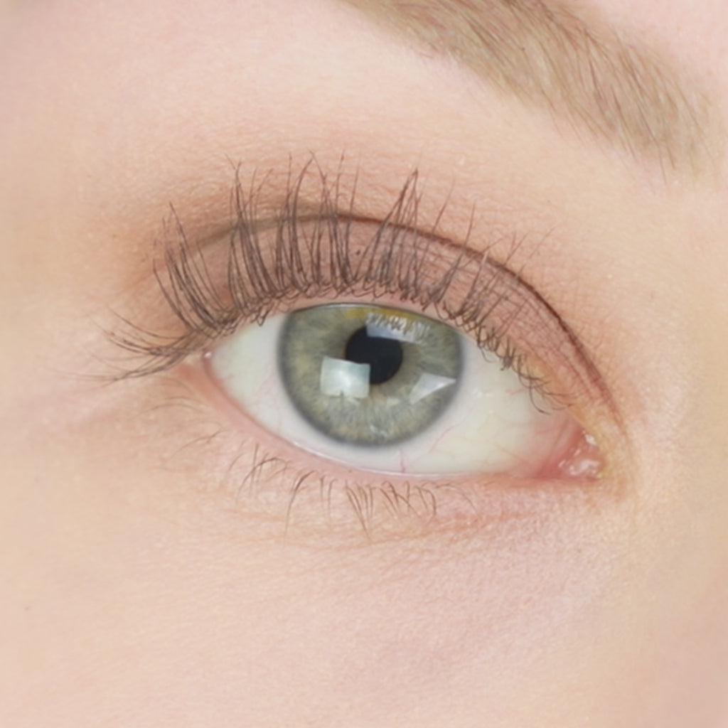 COSLINE Eyeshadow Taupe 311 Nahaufnahme